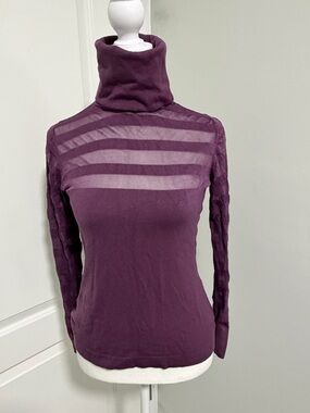 Slim Purple Sheer-Striped Turtleneck Sweater